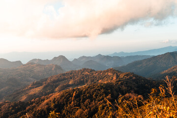 多地取消区域全员核酸检测(即日起暂停!全员核酸检测)